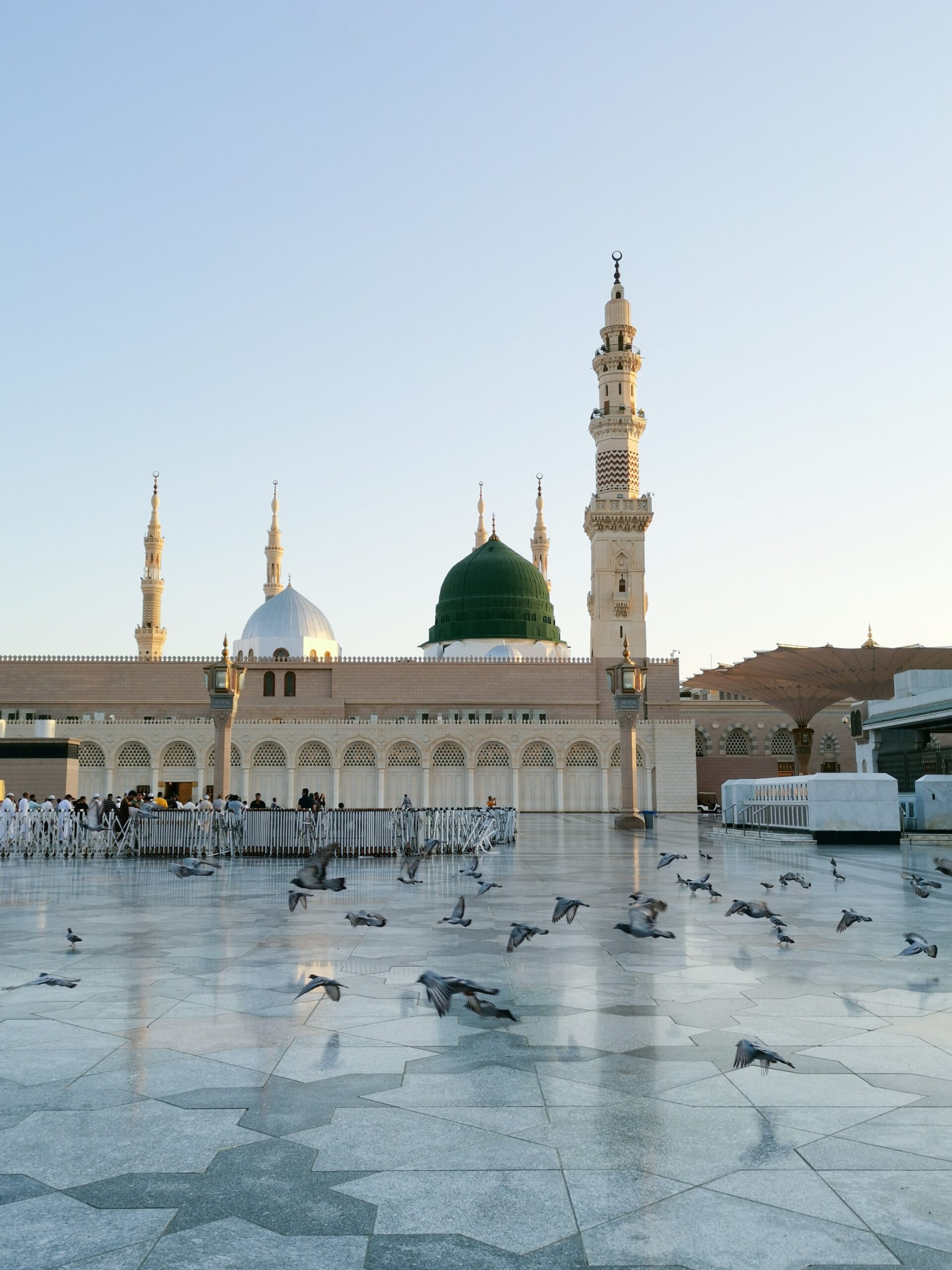 Medina Umra Hadž
